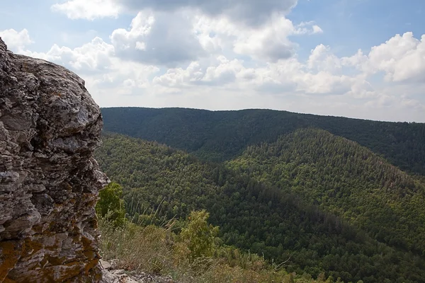 Fragment skały z góry z drzewa poziomo — Zdjęcie stockowe