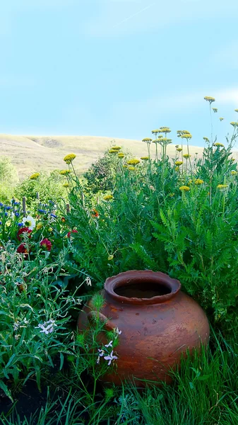 Paisagem com flores em um pote — Fotografia de Stock