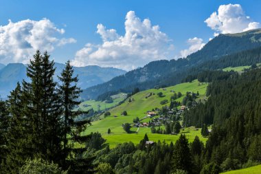 Hasliberg, İsviçre - 25 Ağustos 2019: Güneşli bir günde İsviçre 'de Hasliberg yakınlarındaki tarım arazilerine bakın