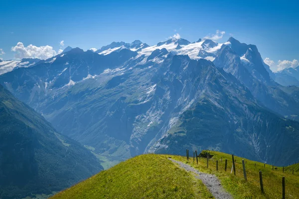 Величественная Вершина Веттерхорн Покрытая Ледником Видно Планплаттена Кантоне Берн Швейцарии Лицензионные Стоковые Фото