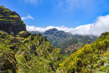 Madeira 'daki güzel yeşil dağların manzarası, Vereda do Areeiro yürüyüş patikasından