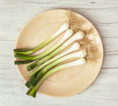 Scallions tabakta yemek Tema