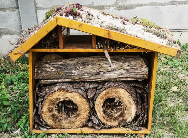 Cabina de madera con madera picada — Foto de Stock