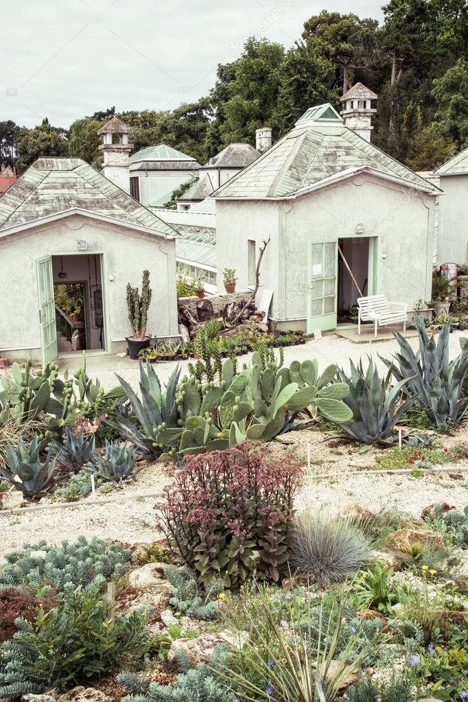 Garden with various cacti and greenhouses