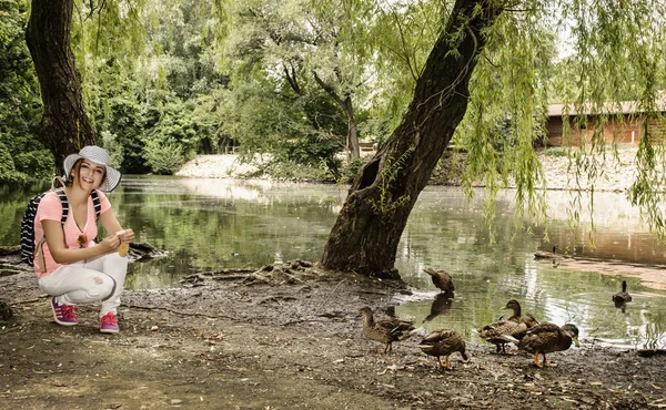 Mujer joven está alimentando al grupo de pato en el parque de la ciudad —  Fotos de Stock