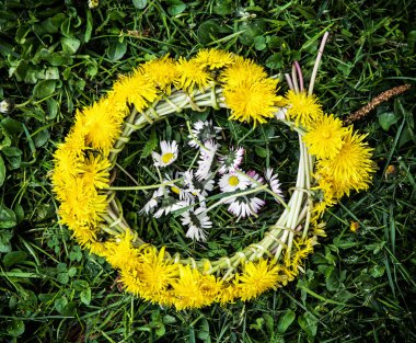 Wreath of dandelions with ox-eye daisies in the green grass clipart