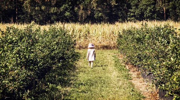 Little girl is going through the corridor in the orchard, outdoo — Stock Photo, Image