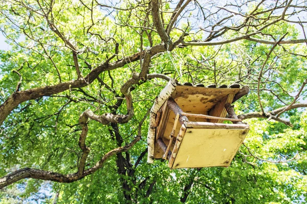 Casa de pájaros de madera colgando del árbol verde — Foto de Stock