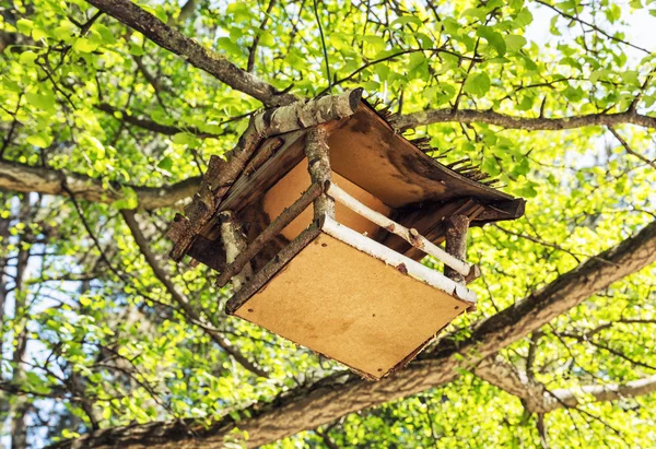 Casa de pájaros de madera colgando en el árbol verde, sc natural detallada — Foto de Stock