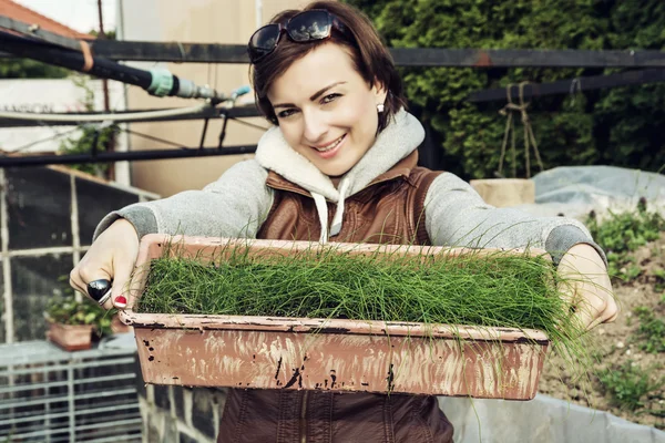 Joyful caucasian woman with pot of chive in the garden — Stock Photo, Image