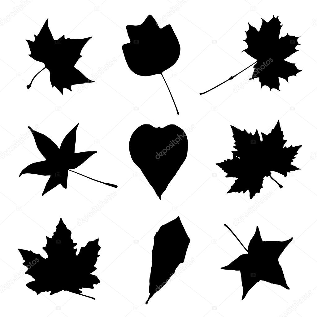 Collage of autumn leaves, black and white vector graphic — Stock Vector ...