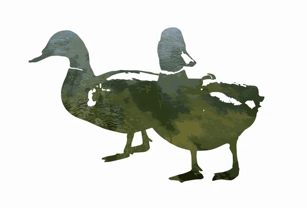 两个绿头鸭剪影装满了波纹水 — 图库矢量图片
