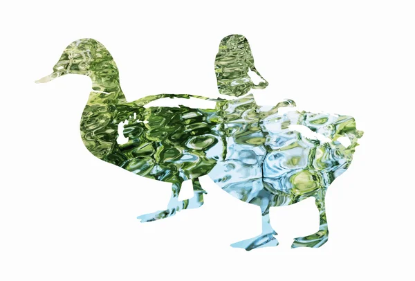 Silhouet van twee mallard eenden gevuld met golfde water — Stockvector