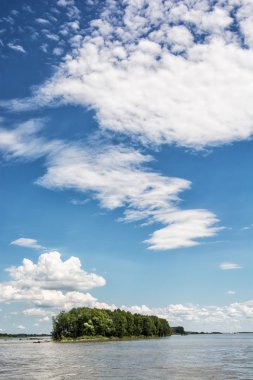 Orman Danube Nehri ve mavi gökyüzü ile küçük ada