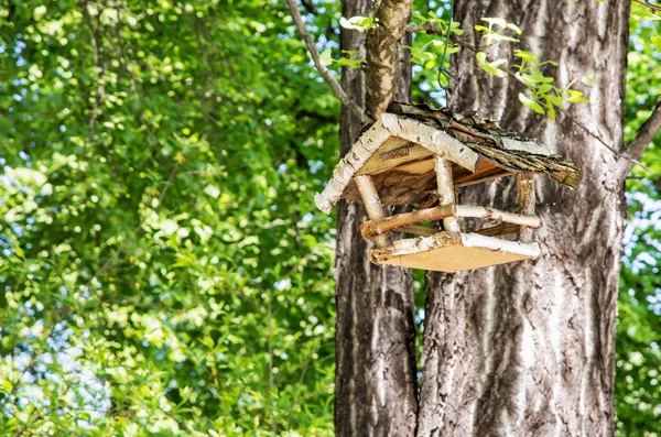 Casa de pájaros de madera colgando del árbol verde, belleza en la naturaleza — Foto de Stock