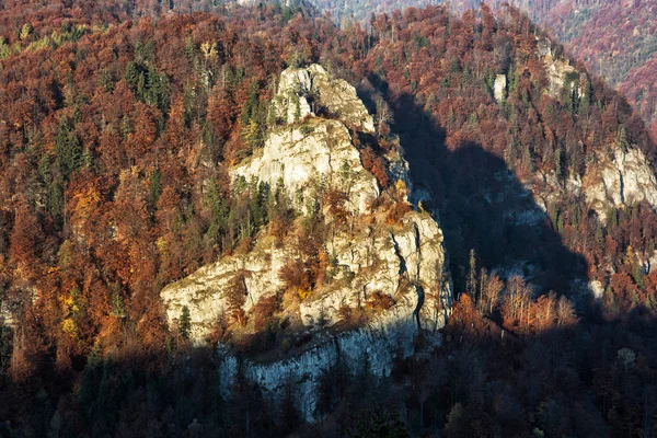 Klippan i höst skogen vid solnedgången i Harmanec, Slovakien, beaut — Stockfoto