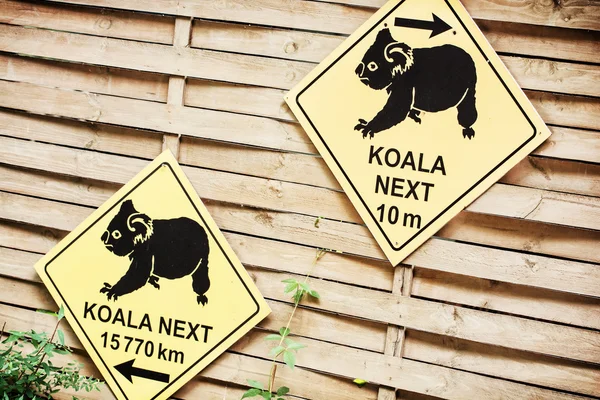 동물원의 코알라에 대한 비문이 새겨진 안내판 — 스톡 사진