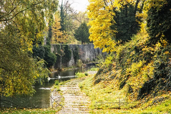 Moat s vodou, labutí a kachny v době podzimu — Stock fotografie