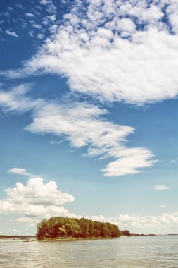 Orman Danube Nehri ve mavi gökyüzü ile küçük ada