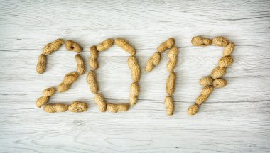 PF fıstık yapılan 2017