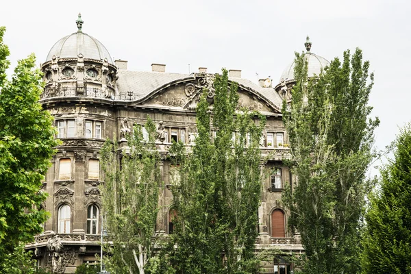 Здание старого дворца с большими деревьями в центре Будапешта — стоковое фото
