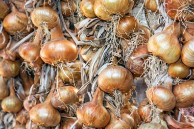 Arka plan kuru soğan