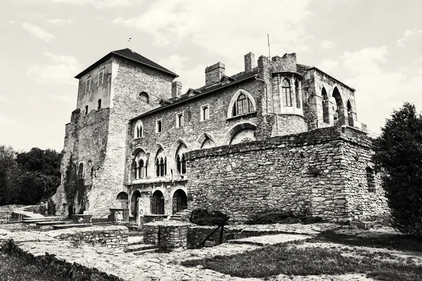 Beautiful castle in Tata, Hungary, black and white — Stock Photo, Image