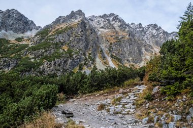 Mengusovska vadisinde sonbahar sahnesi, Yüksek Tatras dağları, Slovak cumhuriyeti. Yürüyüş teması.