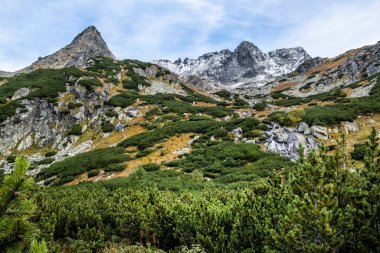 Mengusovska vadisinde sonbahar sahnesi, Yüksek Tatras dağları, Slovak cumhuriyeti. Yürüyüş teması.