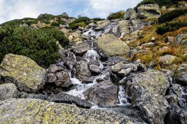Kurbağa deresi, yüksek Tatras dağları, Slovakya Cumhuriyeti. Yürüyüş teması. Mevsimsel doğal sahne.