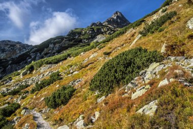 Mengusovska vadisinde sonbahar sahnesi, Yüksek Tatras dağları, Slovak cumhuriyeti. Yürüyüş teması.