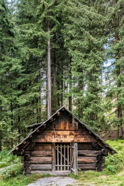 Orava Köyü 'nün açık hava müzesi, Zuberec, Slovak Cumhuriyeti. Mimari tema.