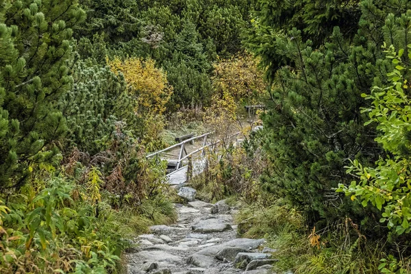 Adegan Musim Gugur Lembah Mengusovska Pegunungan High Tatras Republik Slowakia — Stok Foto