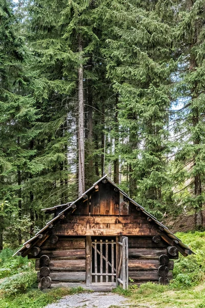 Museo Aire Libre Del Pueblo Orava Zuberec República Eslovaca Tema — Foto de Stock