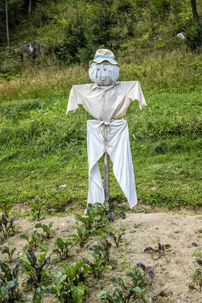 Smiling Scarecrow Vegetable Garden Rural Scene — Stock Photo, Image