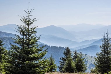 Büyük Fatra Dağları, Slovakya Cumhuriyeti. Mevsimsel doğal sahne. Seyahat güzergahı. Yürüyüş teması.