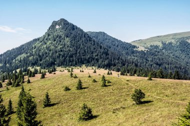 Büyük Fatra 'daki Kara Taş Tepesi, Slovak Cumhuriyeti. Mevsimsel doğal sahne. Seyahat güzergahı. Yürüyüş teması.