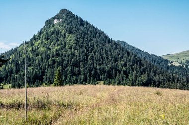 Büyük Fatra 'daki Kara Taş Tepesi, Slovak Cumhuriyeti. Mevsimsel doğal sahne. Seyahat güzergahı. Yürüyüş teması.