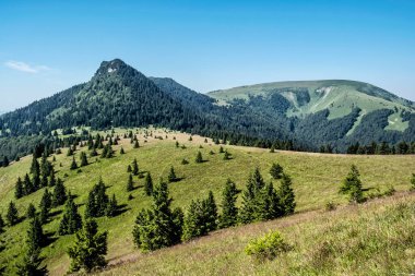 Büyük Fatra 'daki Kara Taş Tepesi, Slovak Cumhuriyeti. Mevsimsel doğal sahne. Seyahat güzergahı. Yürüyüş teması.