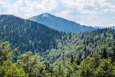 Rakytov Tepesi, Büyük Fatra Dağları, Slovakya Cumhuriyeti. Mevsimsel doğal sahne. Seyahat güzergahı. Yürüyüş teması.