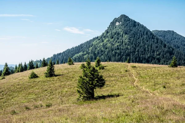 Büyük Fatra 'daki Kara Taş Tepesi, Slovak Cumhuriyeti. Mevsimsel doğal sahne. Seyahat güzergahı. Yürüyüş teması.
