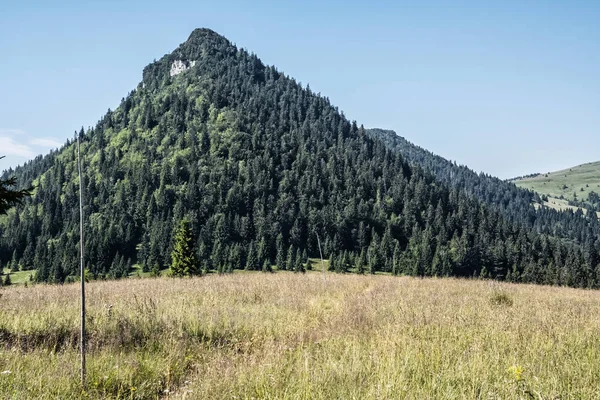 Black Stone Hill Big Fatra República Eslovaca Cena Natural Sazonal — Fotografia de Stock