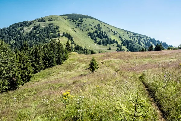 斯洛伐克共和国大Fatra山Rakytov山 季节性的自然景观 旅行目的地 远足主题 — 图库照片