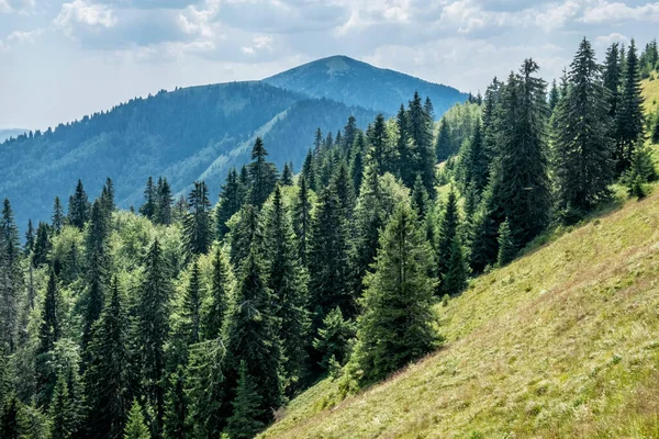斯洛伐克共和国大Fatra山Rakytov山 季节性的自然景观 旅行目的地 远足主题 — 图库照片