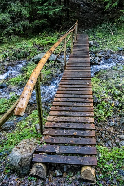 Brook Bridge Low Tatras Mountains Slovak Republic Hiking Theme — ストック写真