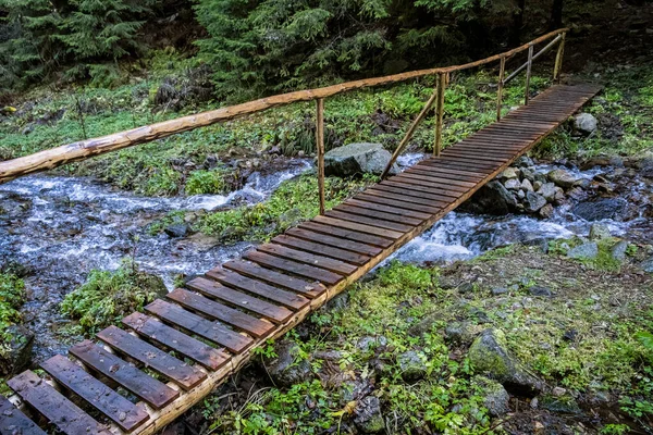 Brook Bridge Low Tatras Mountains Slovak Republic Hiking Theme — ストック写真