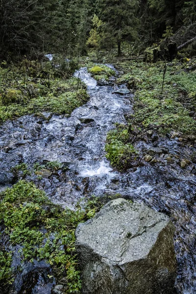 Brook Scene Low Tatras Mountains Slovak Republic Hiking Theme — Zdjęcie stockowe