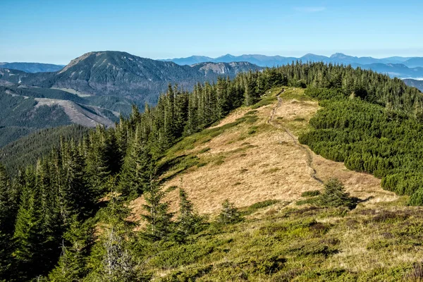 Baja Montaña Tatras Paisaje República Eslovaca Tema Senderismo Escena Natural —  Fotos de Stock