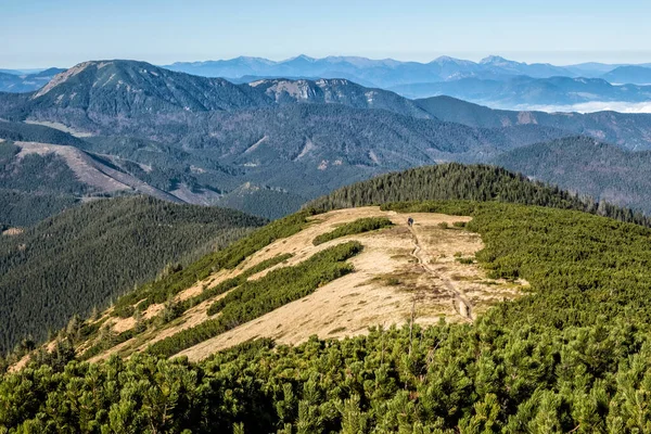 低タトラ山脈の風景 スロバキア共和国 ハイキングのテーマ 四季折々の自然 — ストック写真