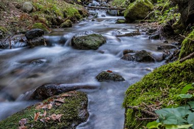 Ormanda buz saçakları olan su akıntısı, Küçük Fatra, dağlar, Slovakya Cumhuriyeti. Yürüyüş teması. Mevsimsel doğal sahne.